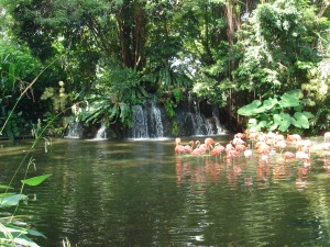 jurong-bird-park-singapore